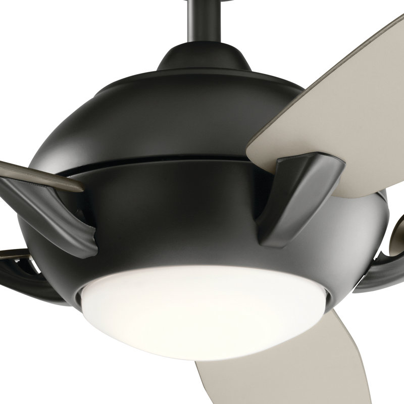 Geno 54'' Ceiling Fan with LED Lights