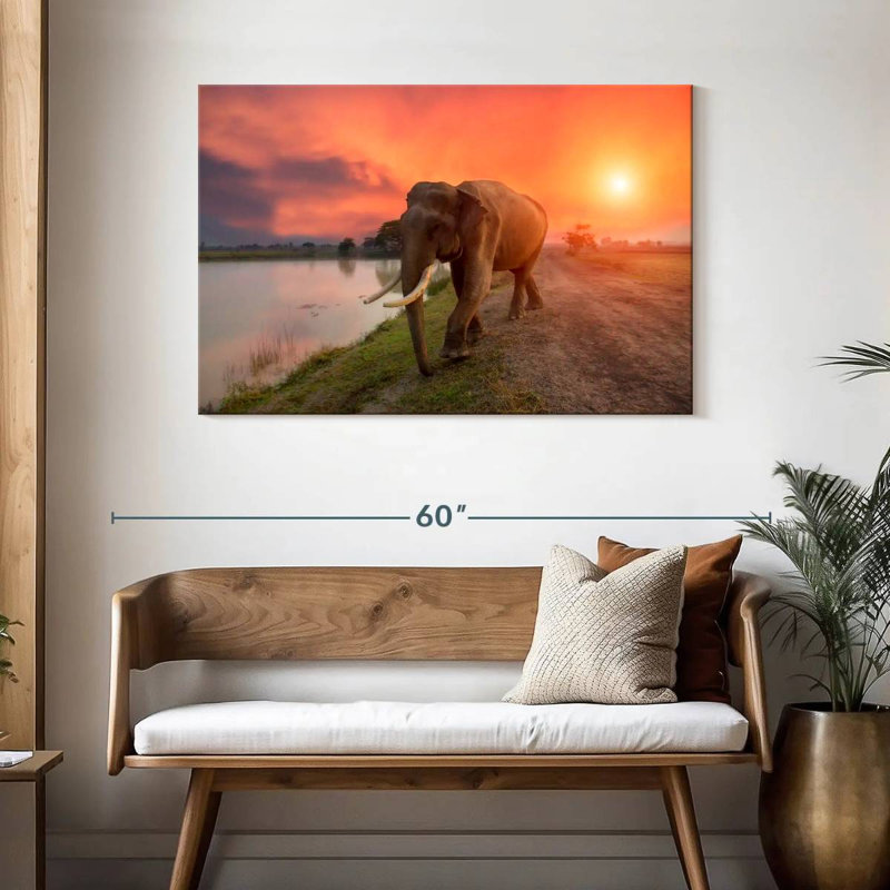Éléphant de Surin, Thaïlande, H 30 po x l 45 po