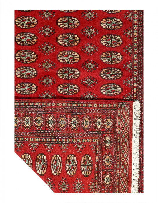 Tapis en laine d'agneau rectangulaire unique 4 pi 1 po x 6 pi Jakyrah
