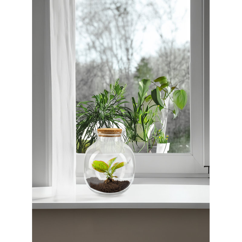 Naes Glass Table Vase