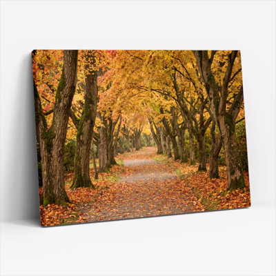 Gallery Wrap，Canvas Wall Art for Living Room, Bedroom, Office or Entryway – Decorative Wall Decor with Autumn Path