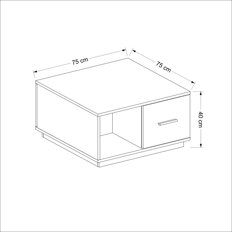 Fereshteh Coffee Table With Storage Space