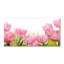 50cm W x 100cm L Glass Peel and Stick Panel