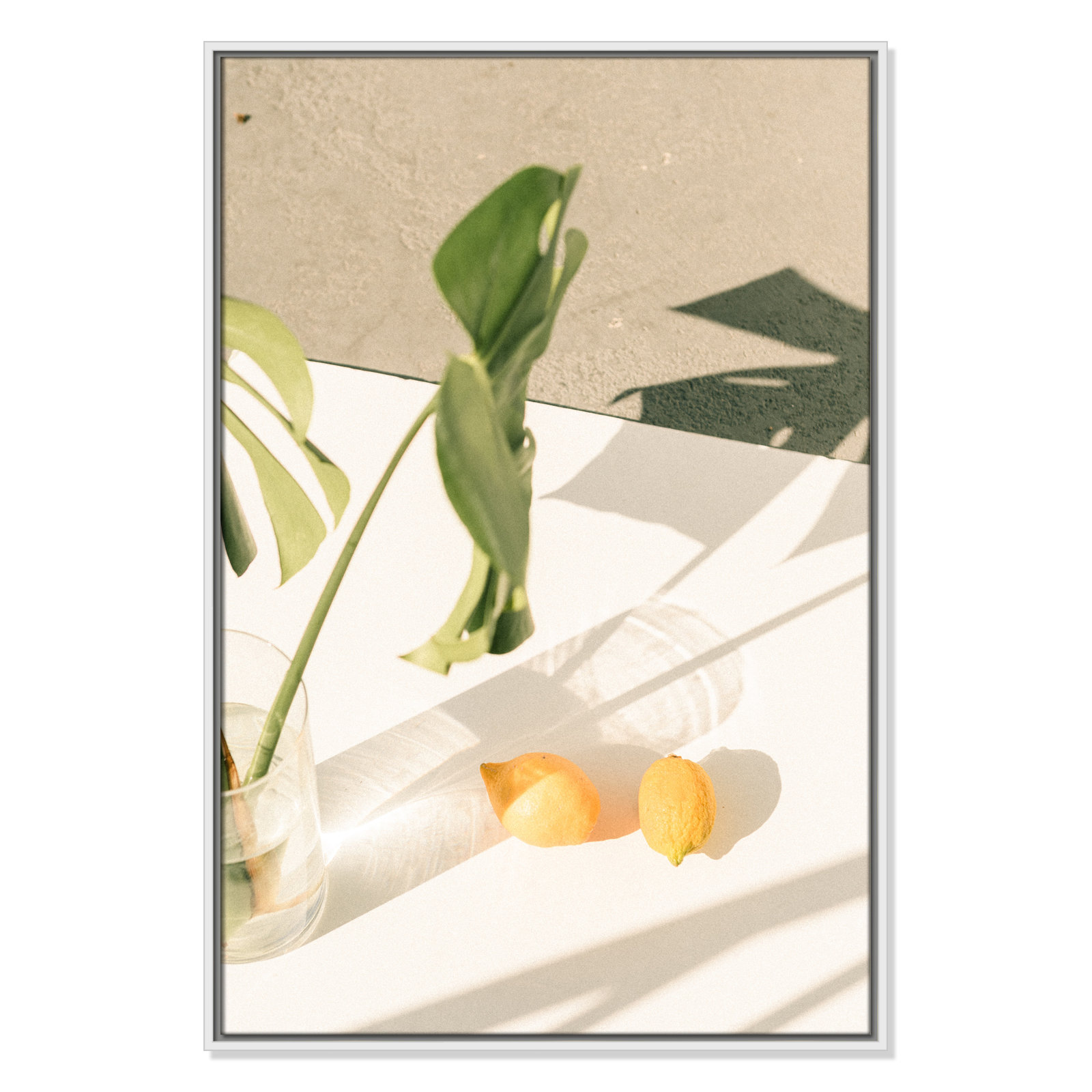 Citrus and Palms Print, 37.5'' H x 25.5'' W x 2'' D, White Framed