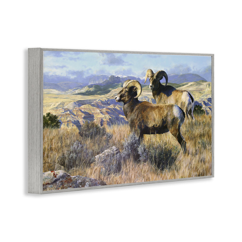  «Wild Rams» Torrey Canyon, estampe numérique par Mark Kelso, H 20 po x l 30 po, Estampe numérique Farmhouse