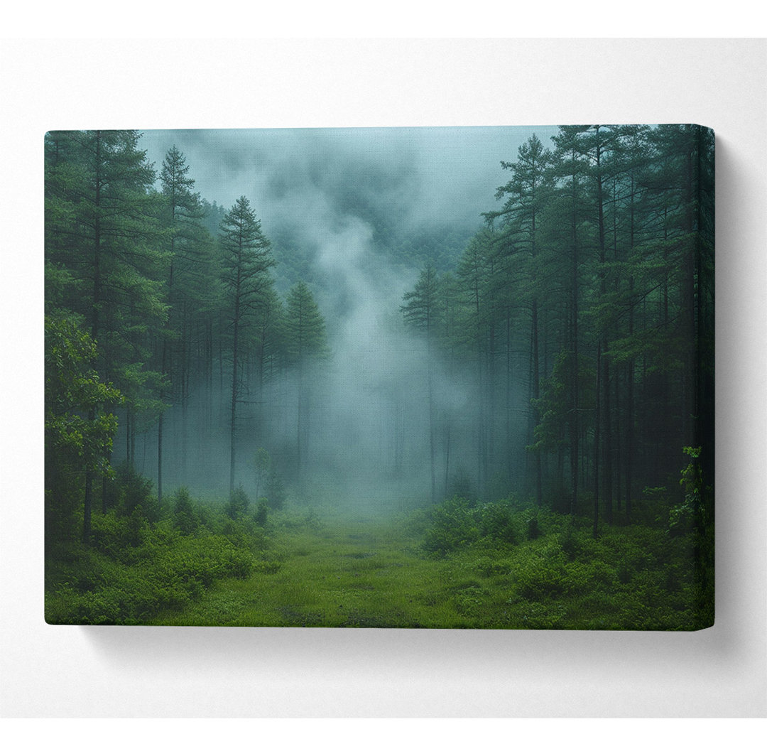 Pinewoods Mist - Kunstdrucke auf Leinwand ohne Rahmen