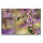«Spring Hummingbird» par Sarah Davis - impression non encadrée-1886448090