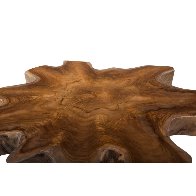 Derryberry Solid Wood Tree Stump End Table