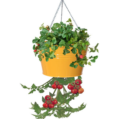 Kilding Metal Hanging Planter
