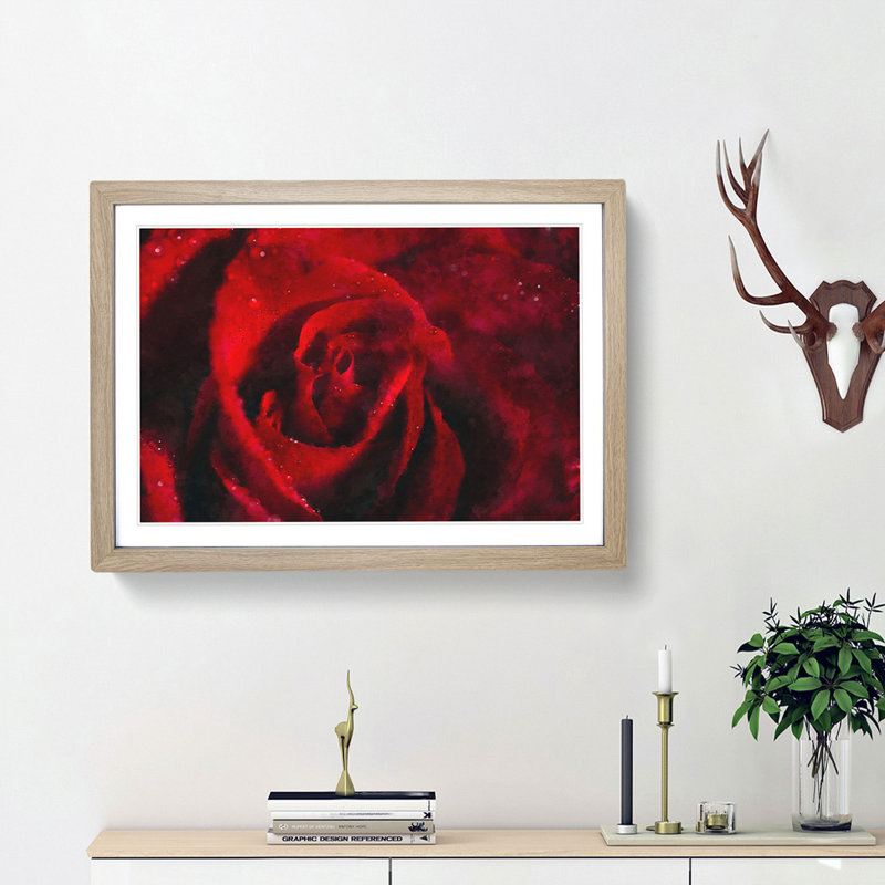 Drops upon a Red Rose - Picture Frame Graphic Art Print, 45cm H x 63cm W x 2cm D, Oak Framed
