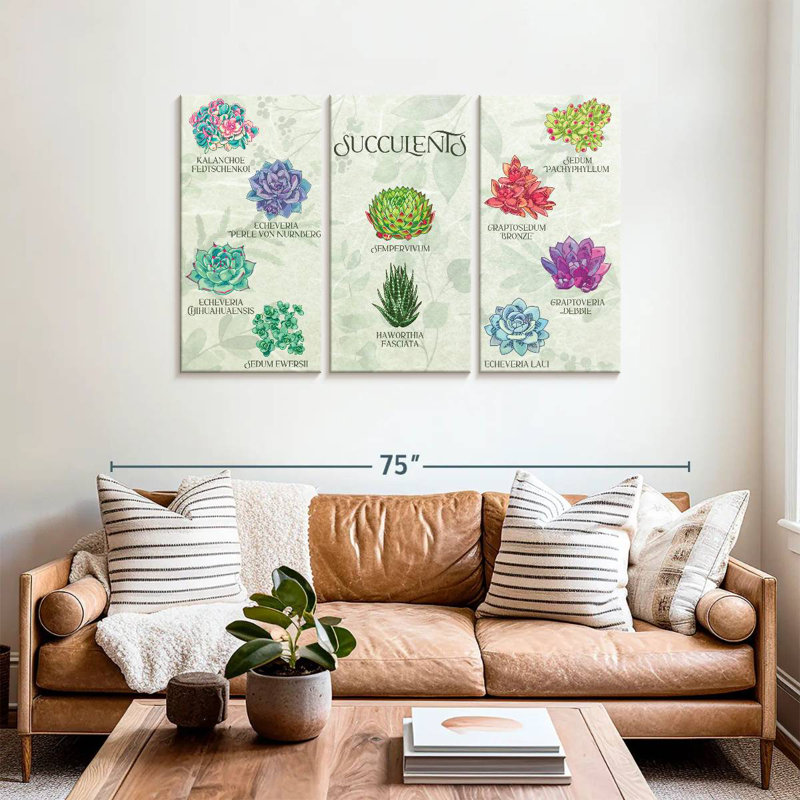 Tableau des plantes grasses Harnek, H 36 po x l 57 po