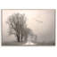 Print on Canvas-25210816-25210813