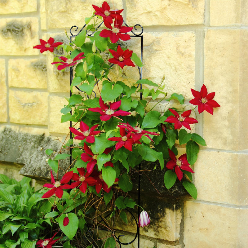 123cm H x 31cm W Metal Gothic Trellis Side Panel