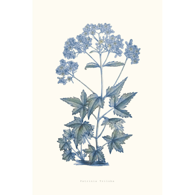 Bouquet Blue 6 Print by Studio L57 Nouvelle, 17.75" H x 13.75" W