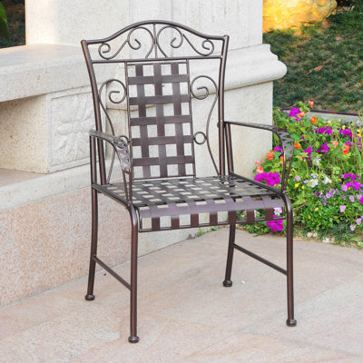 Apisan Metal Outdoor Dining Armchair