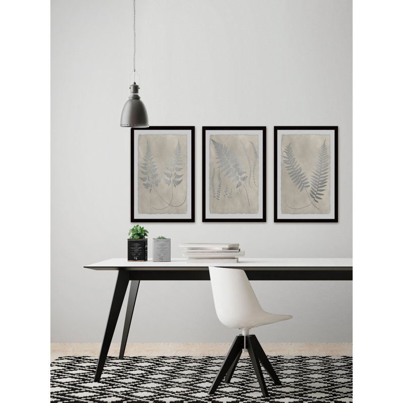 Étude de fougères rétro V - ensemble de 3 reproductions de dessins sur papier, H 18 po x l 36 po x P 1,5 po