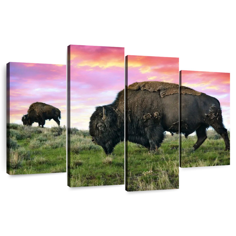 Bison et bison Brampt, H 32 po x l 52 po