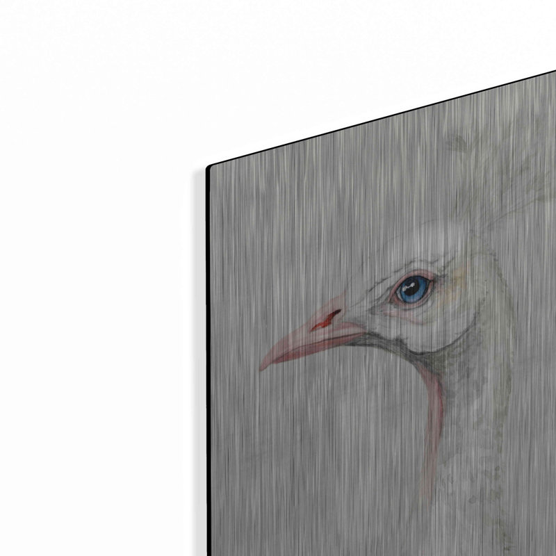«Alpine Peacock II» par Grace Popp, H 16 po x l 12 po