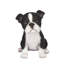 Polyresin Garden Statue-604739367