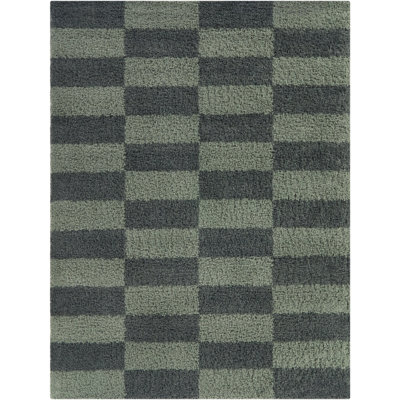 Dixon Green Checkered Shag Area Rug