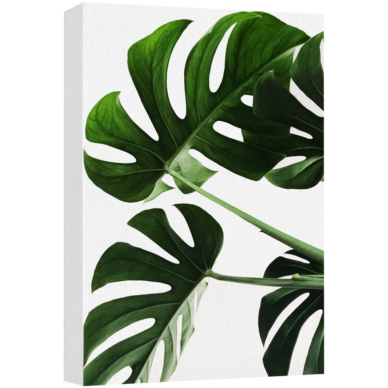 «Tropical Monstera Leaf Southwest» sur, H 48 po x l 32 po