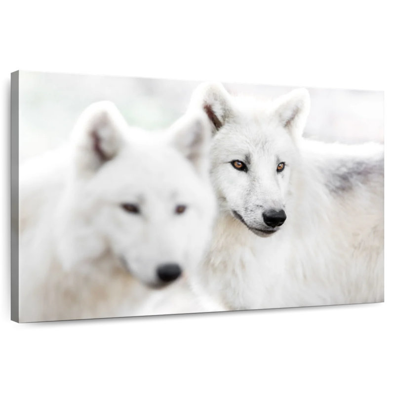 Brampt White Wolf II, 20" H x 30" W
