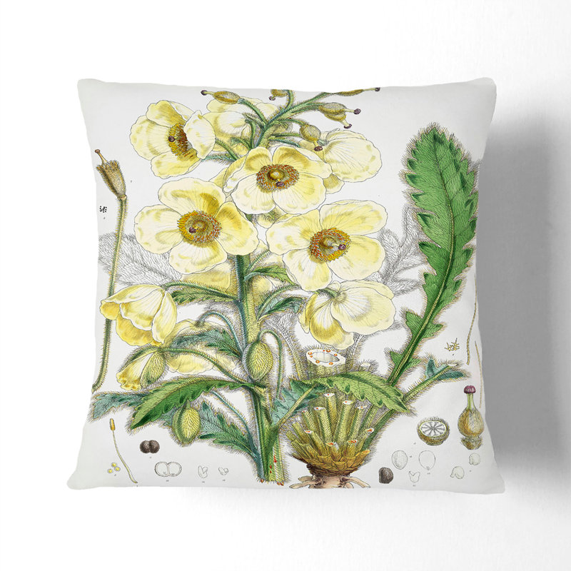 Floral Square Throw Cushion, 55cm H x 55cm W x 20cm D