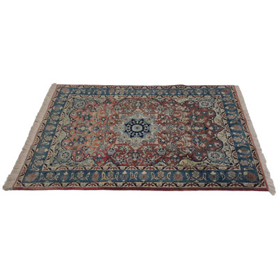Neddo Oriental Indoor Rug