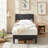 Lit Scarpaci-88579452