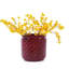 3 pots de fleurs modernes en céramique rouge pâte de haricot pour le salon - Appuis de chaleur et de soutien des racines-1100527785