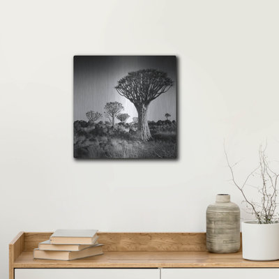 "Les arbres caribus de la Namibie" par Nina Paponcek