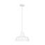 Barn Light LED Outdoor Pendant-573476313-573494226