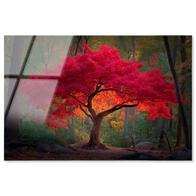Décoration murale imprimée en acrylique «Autumn Ablaze II» par Art Remedy, prête à être suspendue, 15 x 10