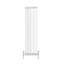 Valery Vertical Traditional Cast Iron Style Designer Radiator-1643706673-1778397949-1778644414