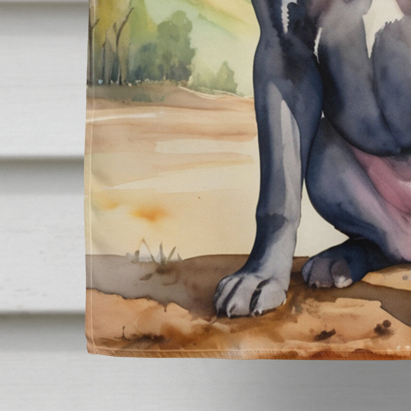 Drapeau Cowboy Welcome House, Cane corso