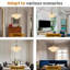 Luminaire suspendu Mid-Century doré nordique