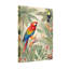 Animaux, oiseaux tropicaux et plantes luxuriantes-1908777170