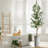 Faux Olive Tree Plant in Plastic Planter-65804285