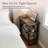 Pomona Rundell 20" W Solid Pine Wood End Table with 2 Shelves-1531679359