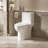 One Piece Toilet With Comfort Chair Seat ADA Height 17", Powerful Dual Flush Modern Toilet, 1.1/1.6 GPF, 12" Roughin,Rimless Bowl With Soft Closing Seat,Gloss White GW006