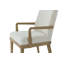Essence Upholstered Arm Chair-1742934395