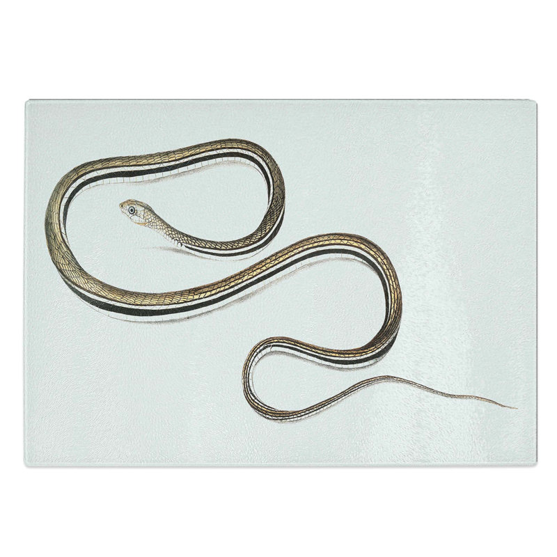Glass Line-Tailed Tree Snake Illustration by John Edward Gray Chopping Board, 39 cm W x 28.5 cm L