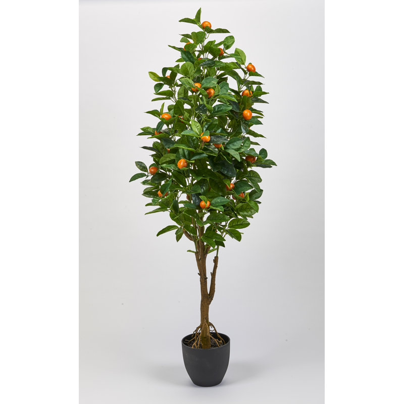 Arbre à ficus en pot Real Touch Orange