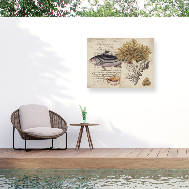 Toile d'extérieur «Sea Life Journal III» par Vision Studio, H 35 po x l 47 po x P 1,5 po