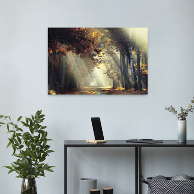 Rayons de soleil, paysage contemporain abstrait, art naturel