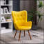 Fauteuil d'appoint Doarnin-2145489364