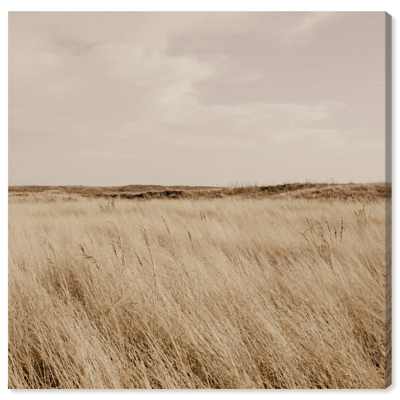 Golden Nature Print by Oliver Gal, Gallery Wrapped, 16"H x 16"W