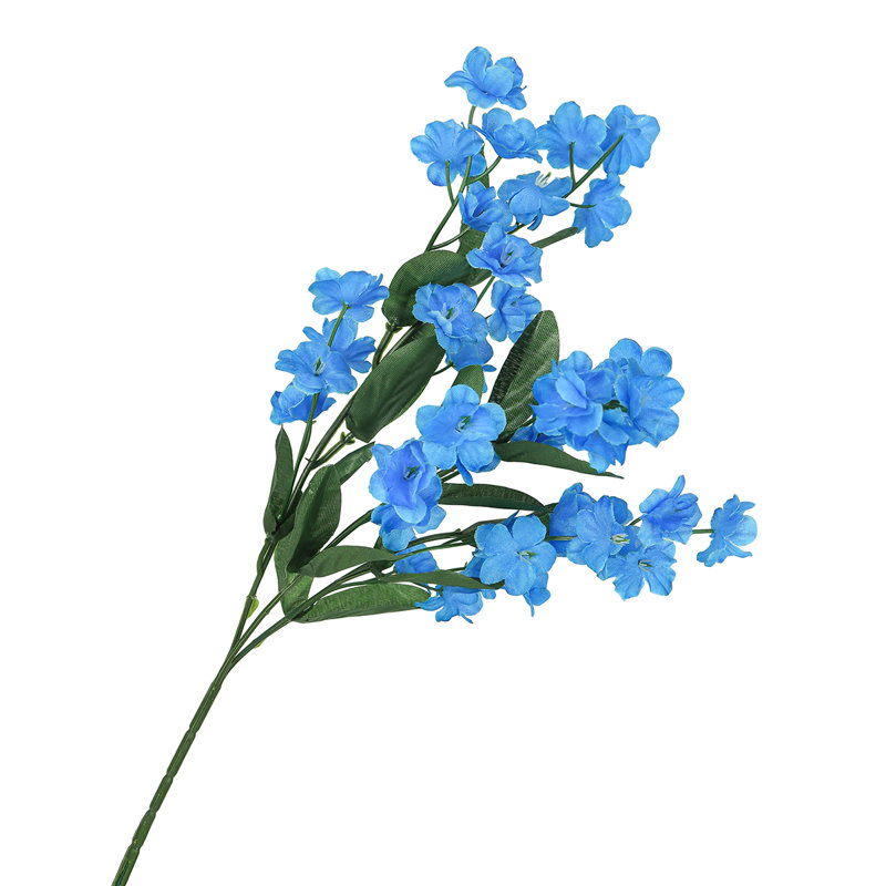 Tige de fleur artificielle Gipsophila, Île Seymour Nord, Galapagos