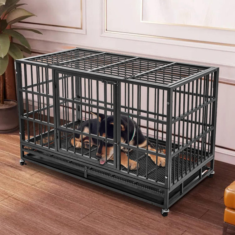 https://assets.wfcdn.com/im/39168962/resize-h755-w755%5Ecompr-r85/2518/251801642/48+Inch+Heavy+Duty+Indestructible+Dog+Crate+Steel+Escape+Proof%2C+Indoor+Double+Door+High+Anxiety+Cage%2C+Kennel+With+Wheels%2C+Removable+Tray%2C+Extra+Large+Xl+Xxl.jpg
