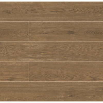 Carreau de plancher et de mur en porcelaine mat 9 po x 47 po Ackland Sandaro